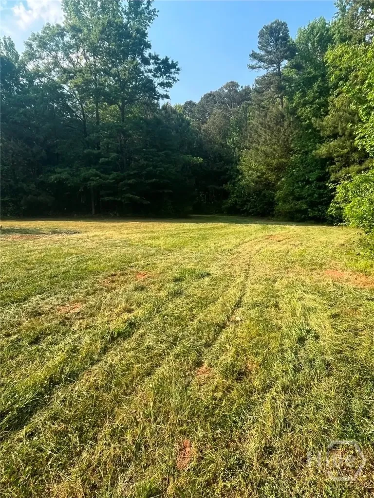 1111 Rehoboth Road Bishop GA 30621