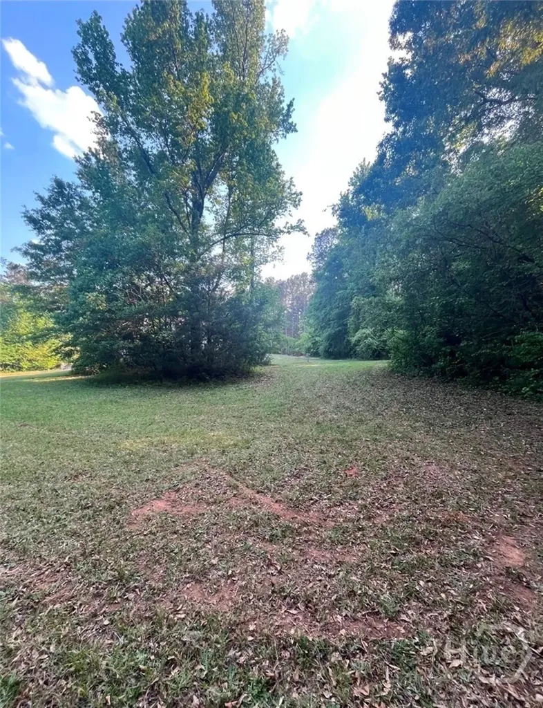 1111 Rehoboth Road Bishop GA 30621