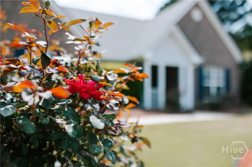 1050 Rebekah Drive Bogart GA 30622