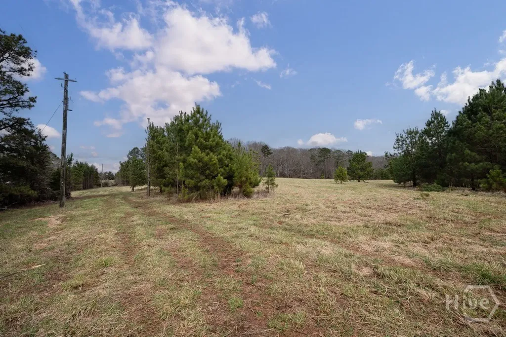 Tract 2 High Shoals Road Bishop GA 30621