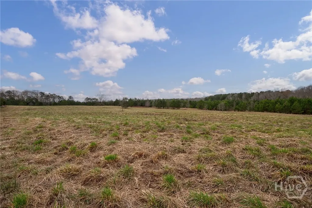 Tract 2 High Shoals Road Bishop GA 30621