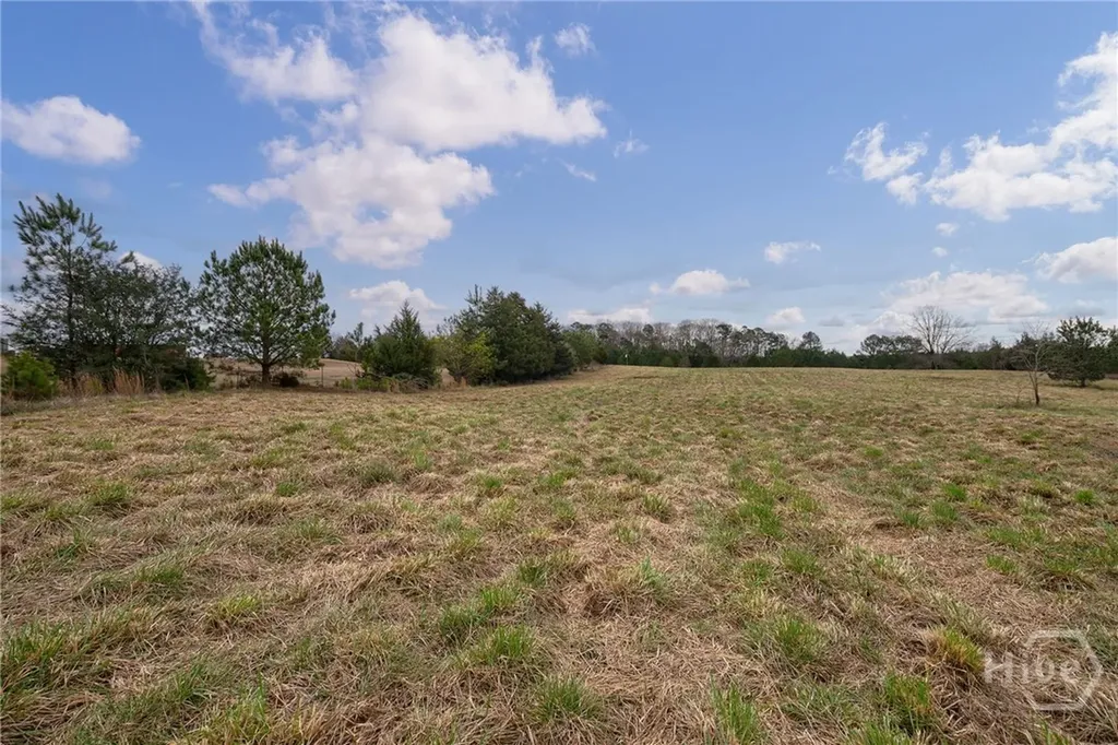 Tract 2 High Shoals Road Bishop GA 30621