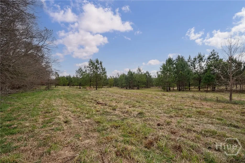 Tract 2 High Shoals Road Bishop GA 30621