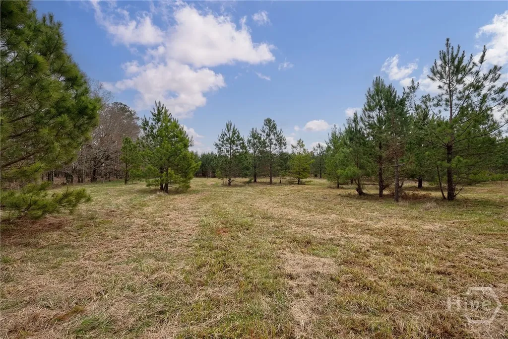 Tract 2 High Shoals Road Bishop GA 30621
