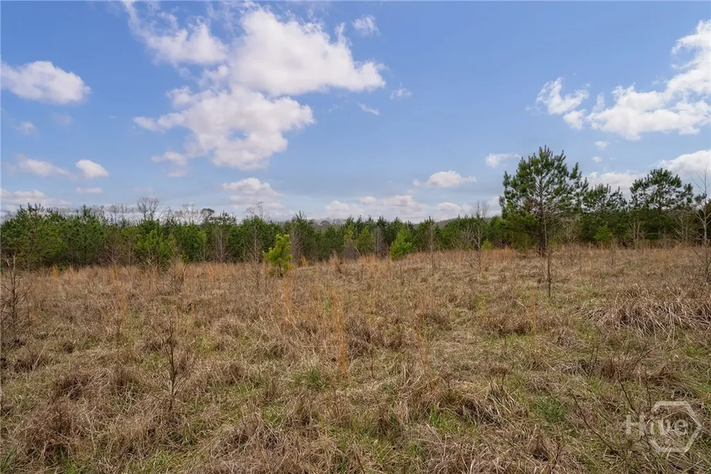 Tract 2 High Shoals Road Bishop GA 30621