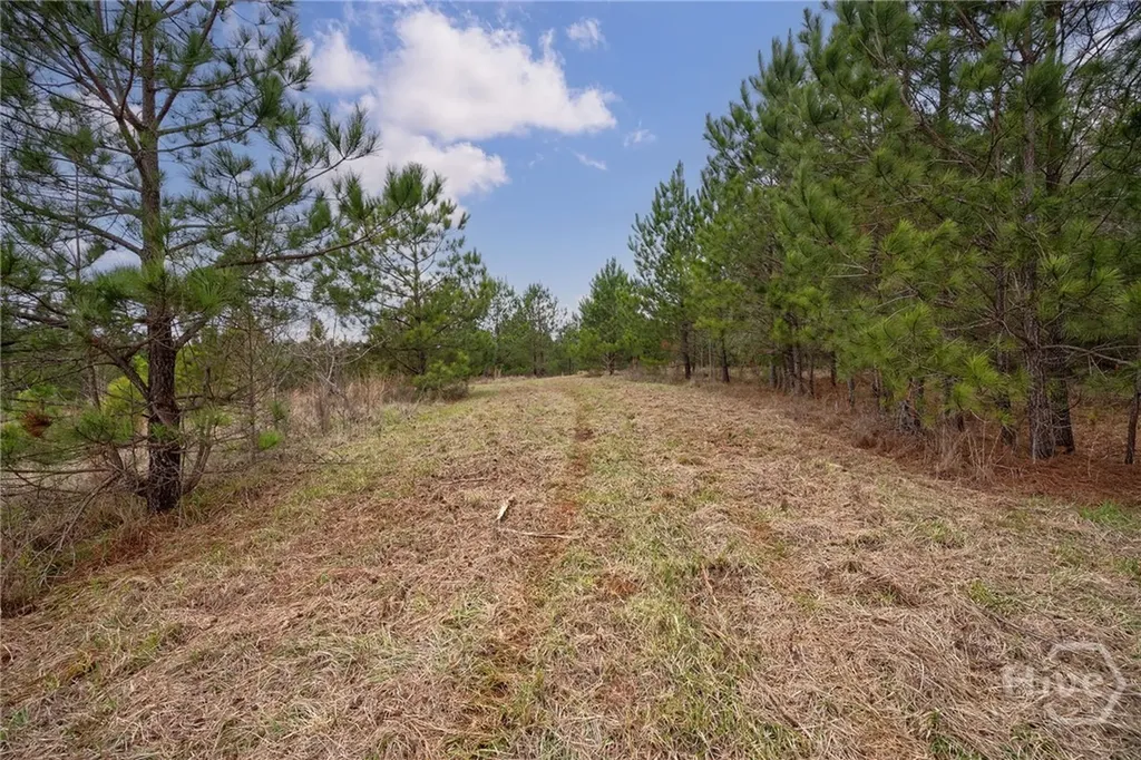 Tract 2 High Shoals Road Bishop GA 30621