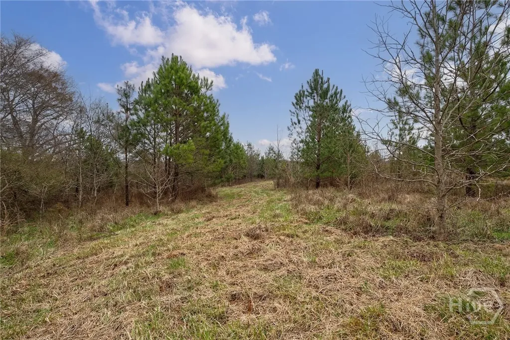 Tract 2 High Shoals Road Bishop GA 30621
