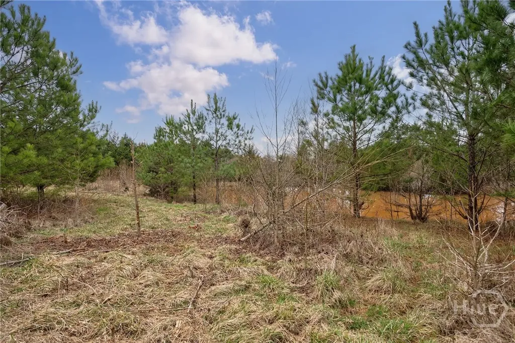 Tract 2 High Shoals Road Bishop GA 30621