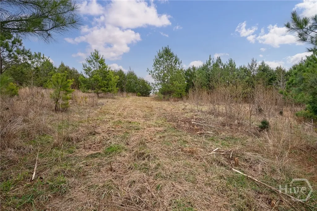 Tract 2 High Shoals Road Bishop GA 30621
