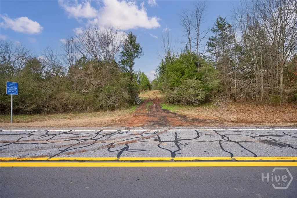 Tract 2 High Shoals Road Bishop GA 30621