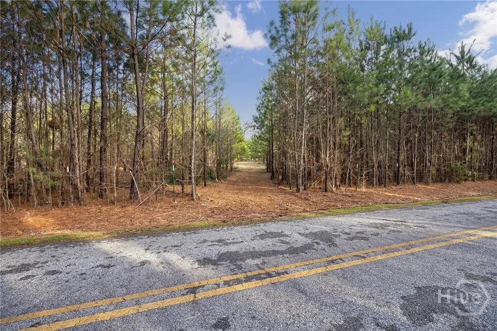 Tract 2 High Shoals Road Bishop GA 30621