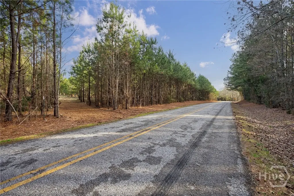 Tract 2 High Shoals Road Bishop GA 30621