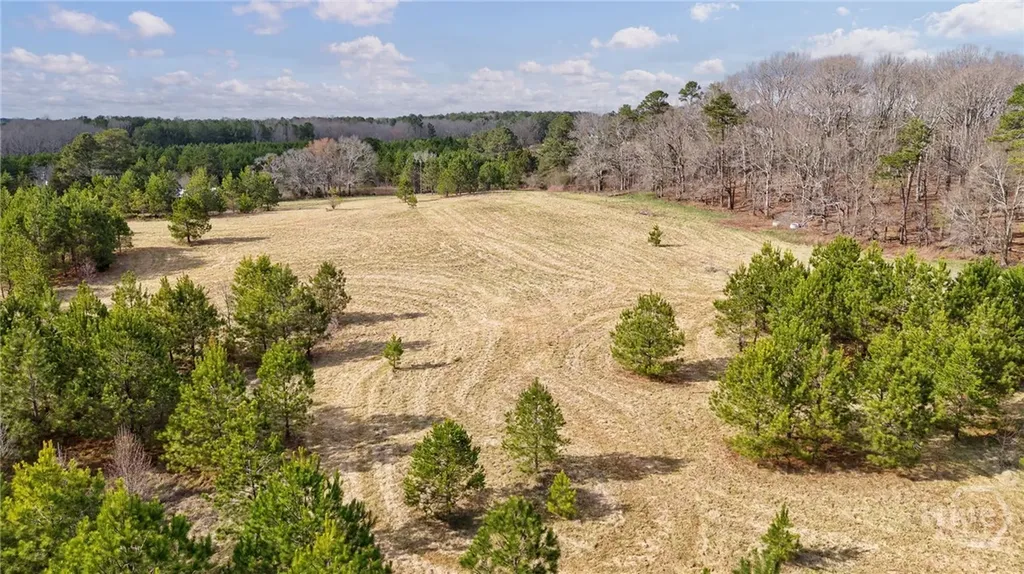 Tract 2 High Shoals Road Bishop GA 30621