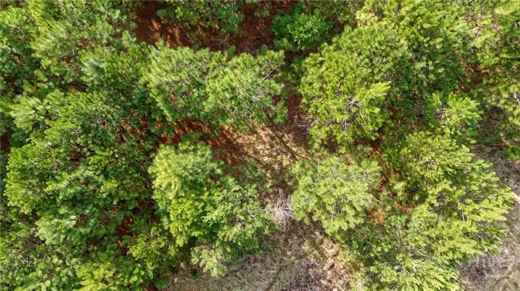 Tract 2 High Shoals Road Bishop GA 30621