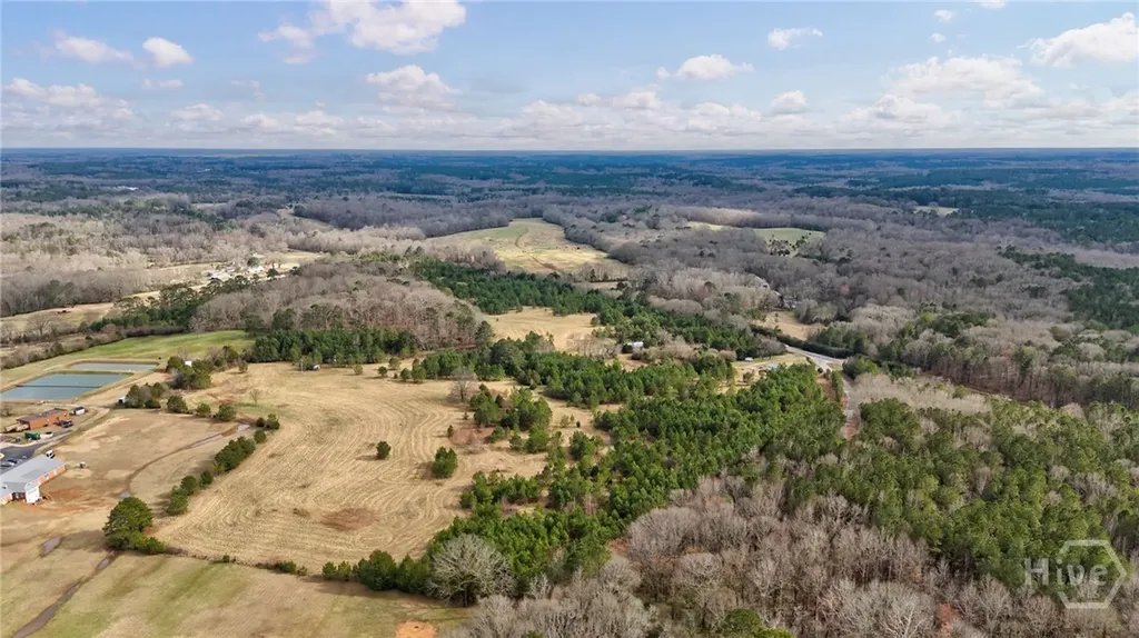 Tract 2 High Shoals Road Bishop GA 30621