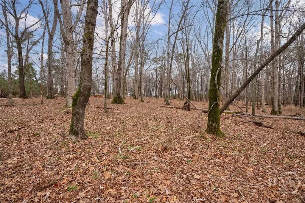 Tract 2 High Shoals Road Bishop GA 30621