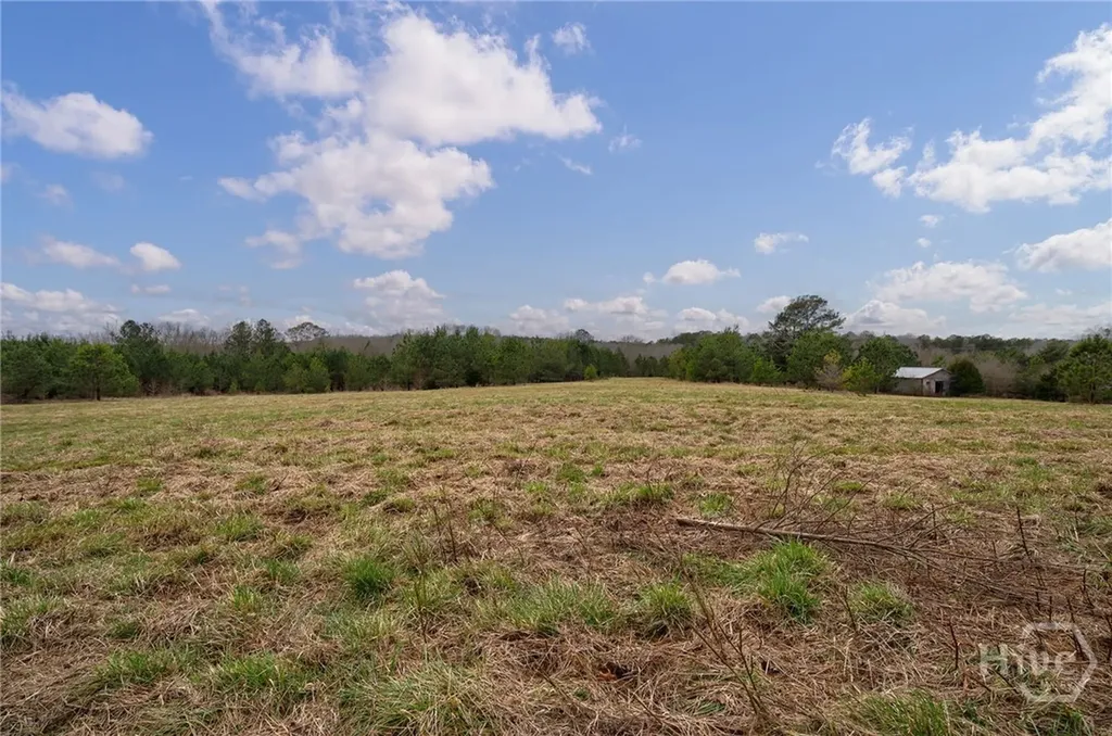 Tract 2 High Shoals Road Bishop GA 30621