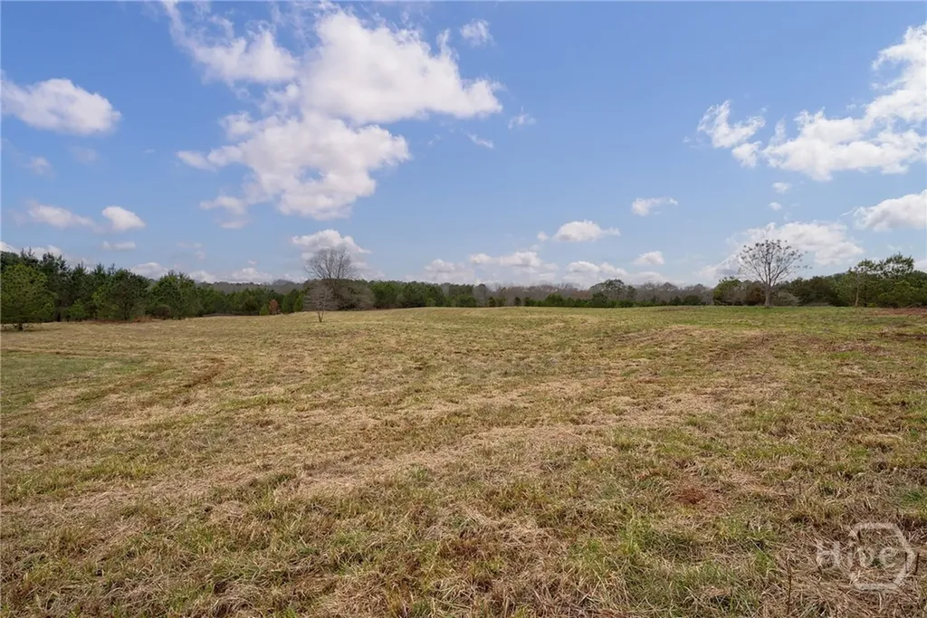 Tract 2 High Shoals Road Bishop GA 30621