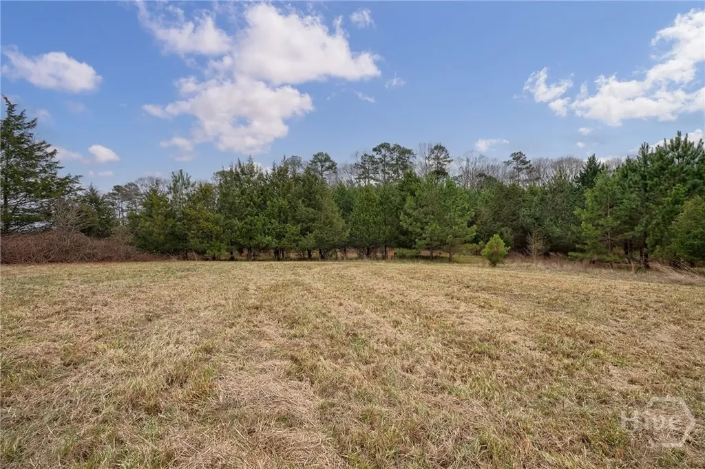 Tract 2 High Shoals Road Bishop GA 30621