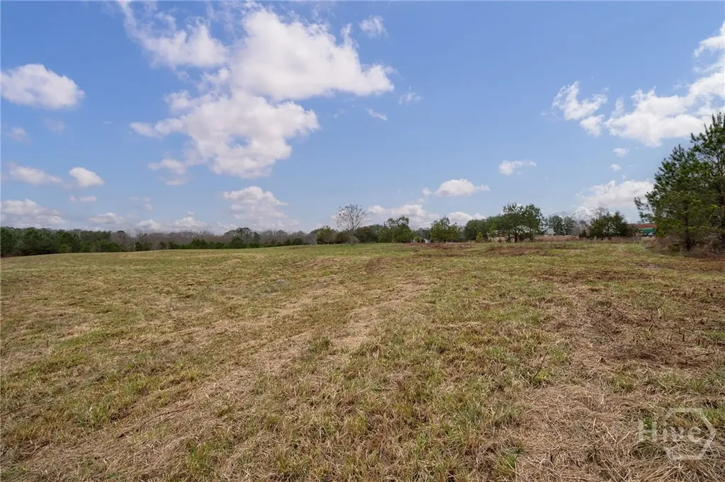 Tract 2 High Shoals Road Bishop GA 30621