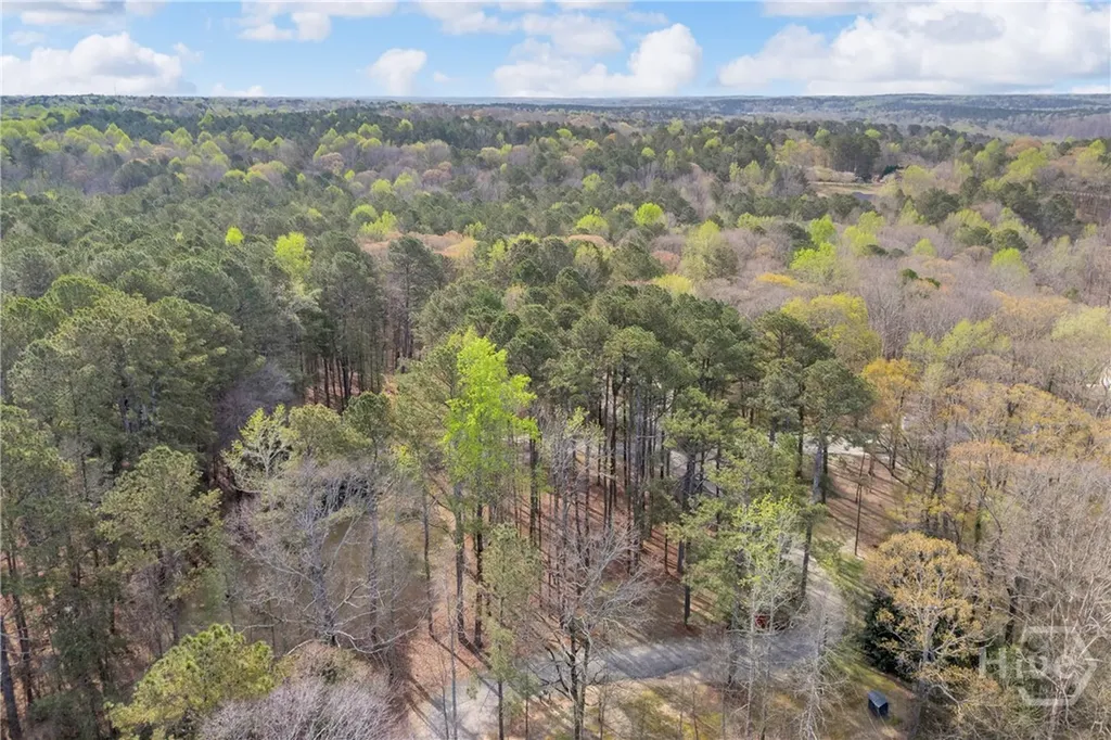 342 Brown Bridge Auburn GA 30011