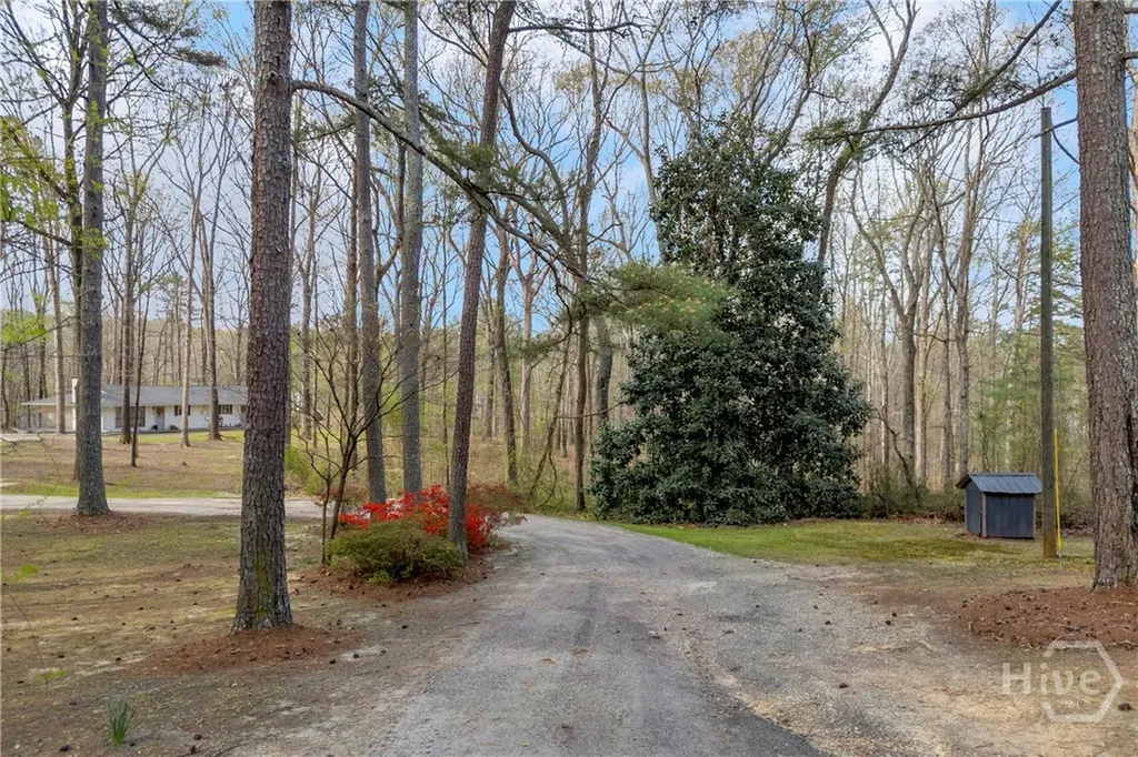 342 Brown Bridge Auburn GA 30011