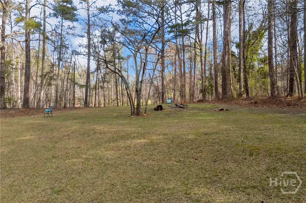 342 Brown Bridge Auburn GA 30011