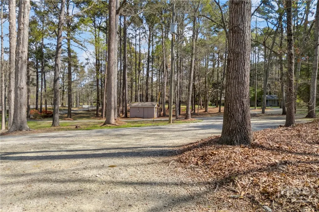 342 Brown Bridge Auburn GA 30011