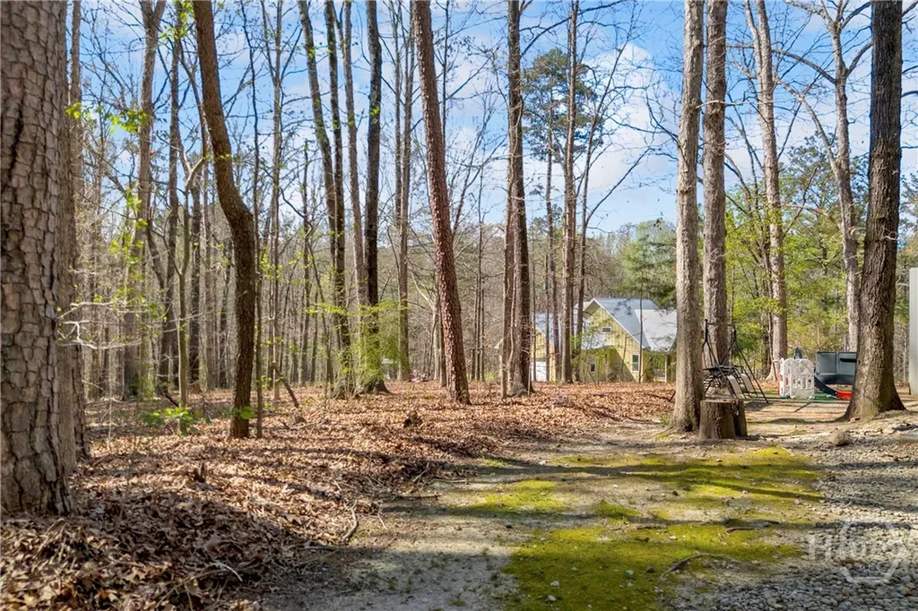 342 Brown Bridge Auburn GA 30011