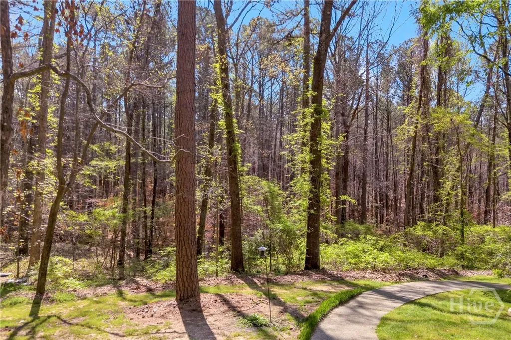 342 Brown Bridge Auburn GA 30011