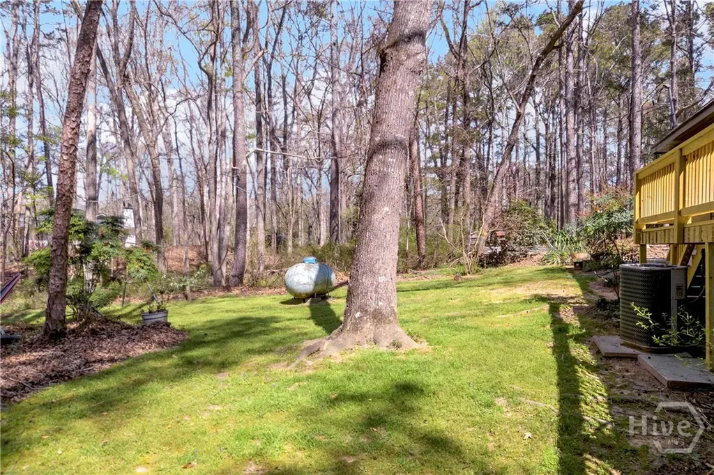 342 Brown Bridge Auburn GA 30011