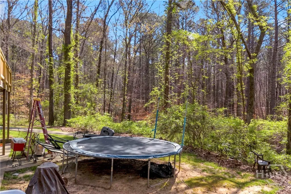 342 Brown Bridge Auburn GA 30011