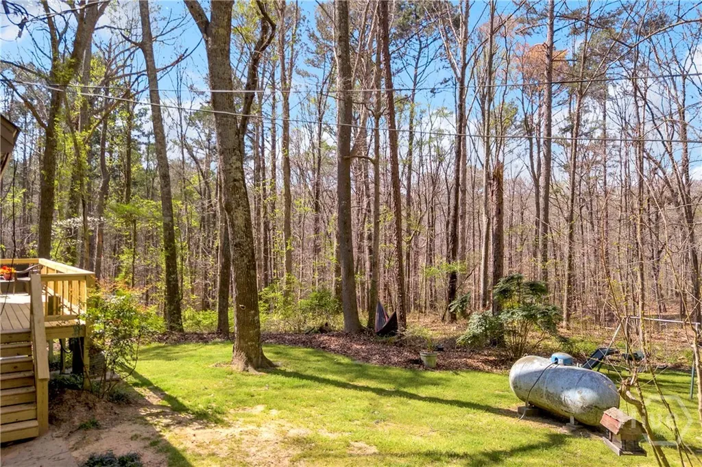 342 Brown Bridge Auburn GA 30011