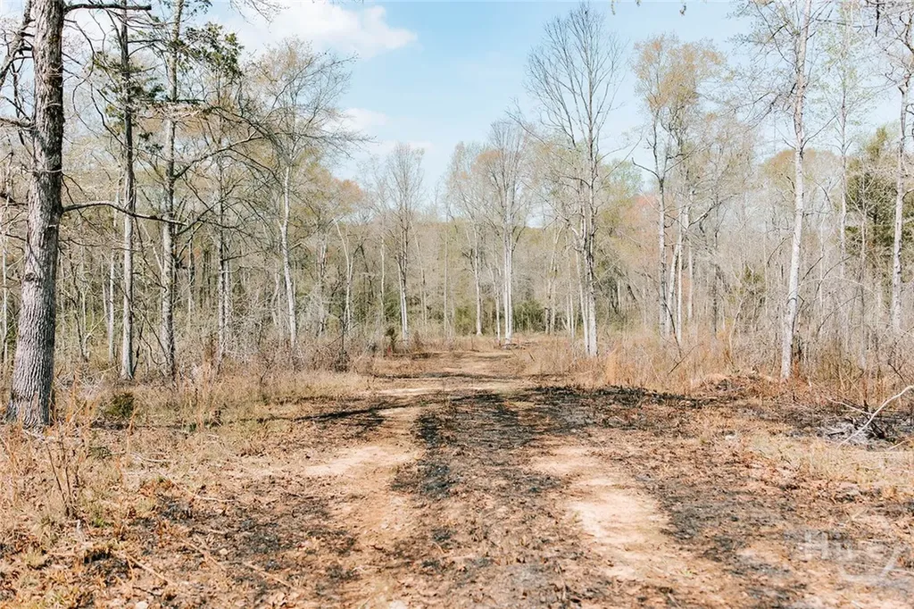 0 Washington Road Lexington GA 30648