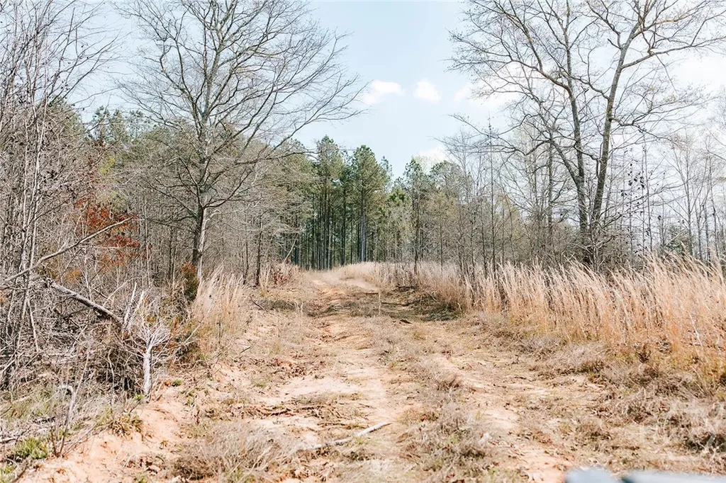 0 Washington Road Lexington GA 30648
