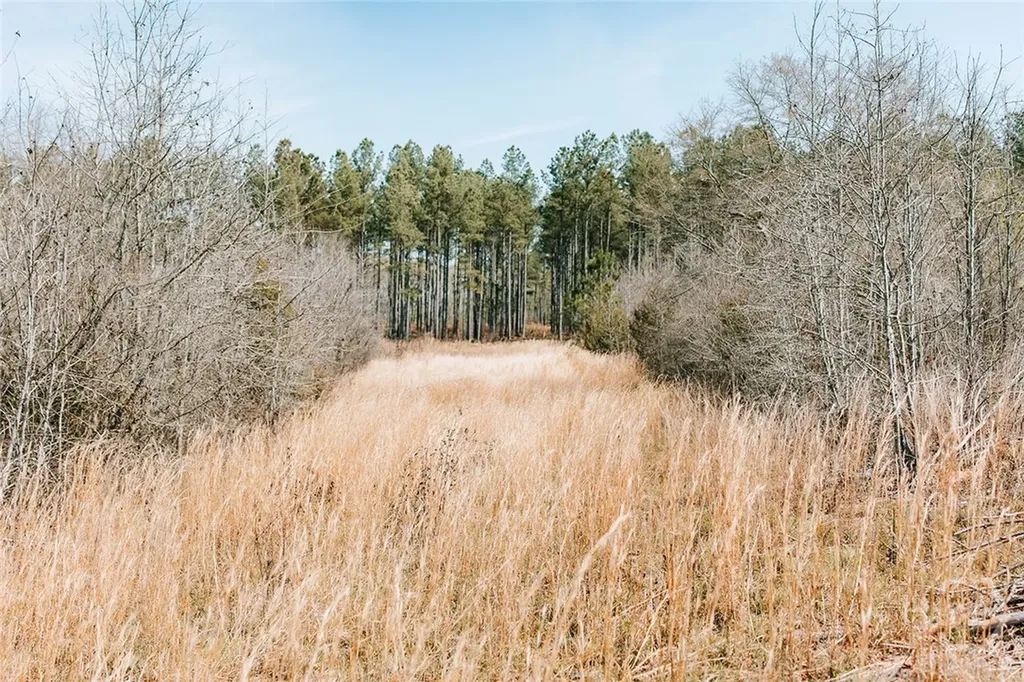 0 Washington Road Lexington GA 30648
