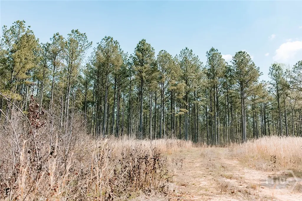 0 Washington Road Lexington GA 30648