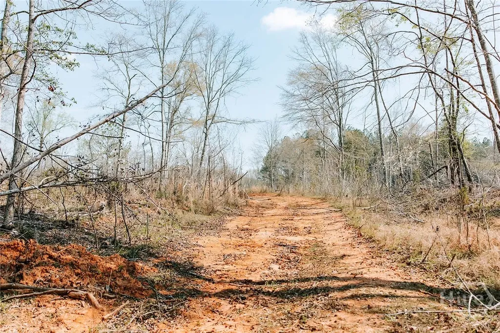 0 Washington Road Lexington GA 30648
