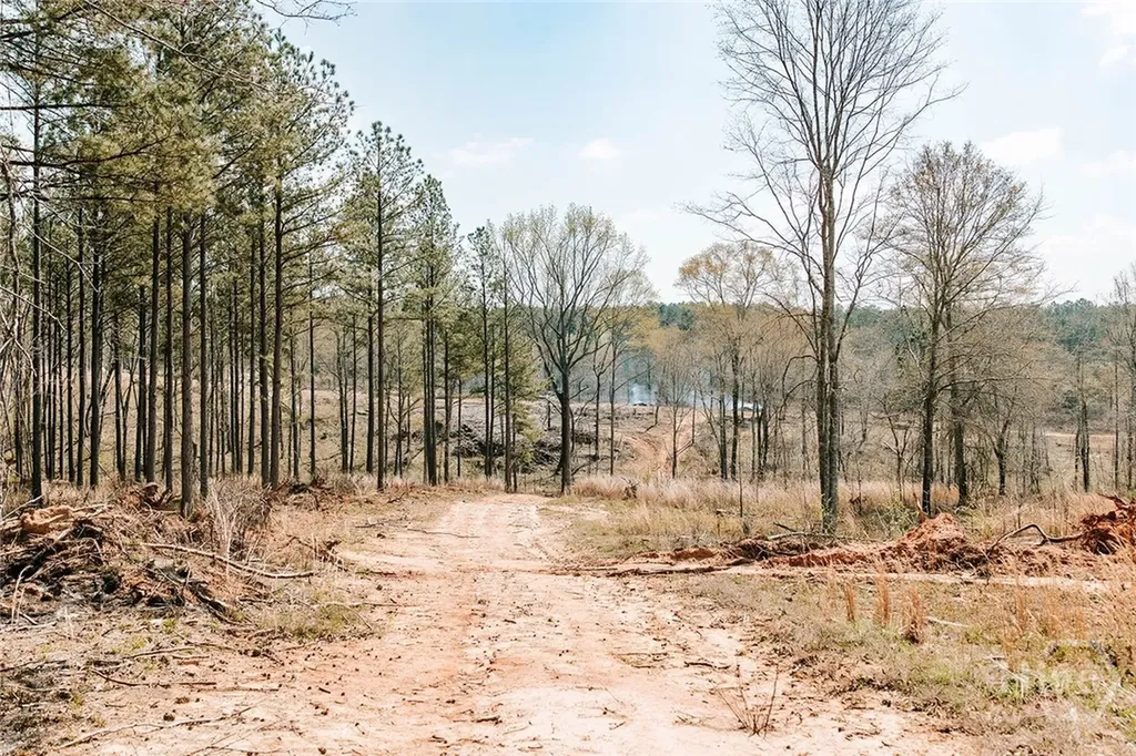 0 Washington Road Lexington GA 30648