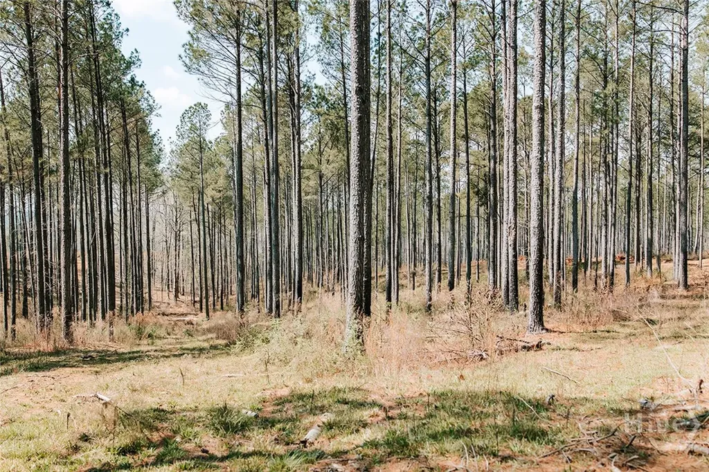 0 Washington Road Lexington GA 30648