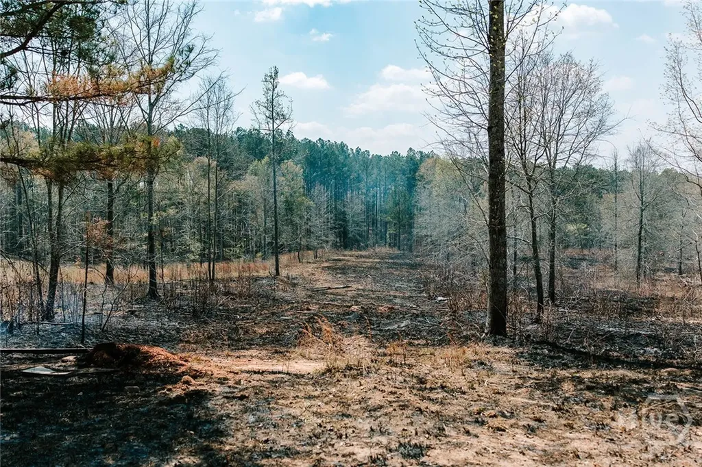 0 Washington Road Lexington GA 30648