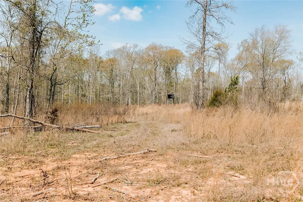0 Washington Road Lexington GA 30648