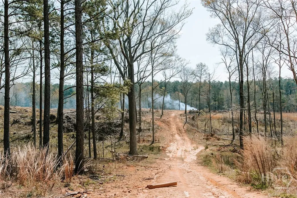 0 Washington Road Lexington GA 30648