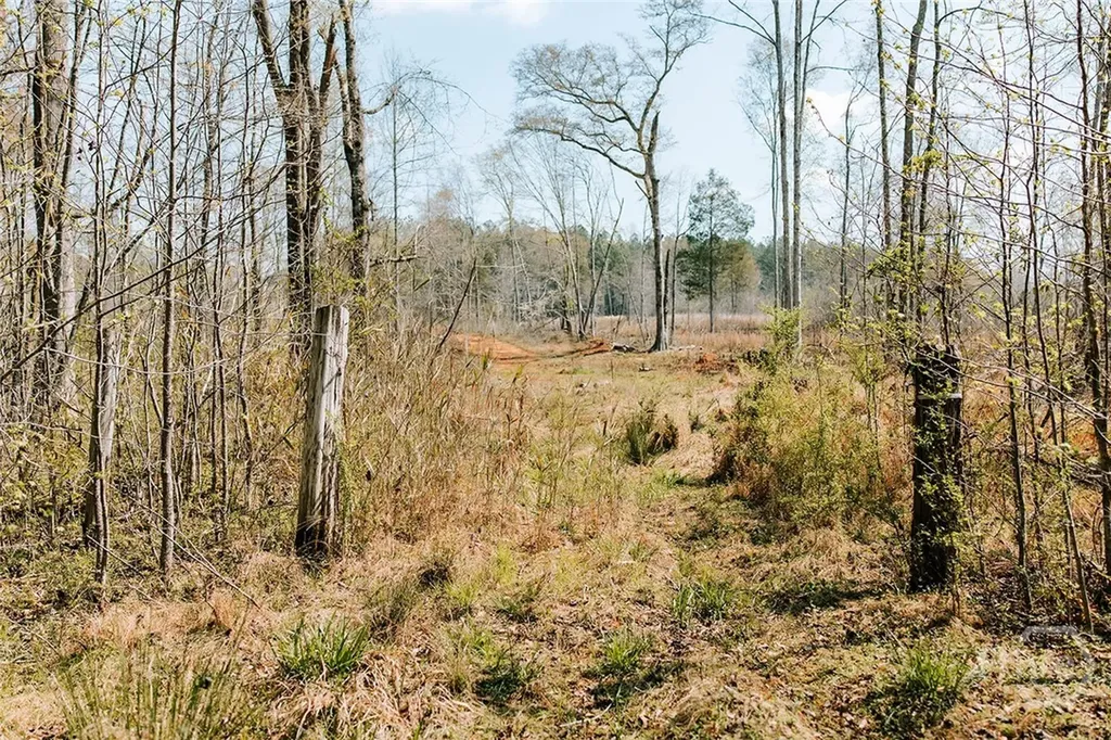 0 Washington Road Lexington GA 30648