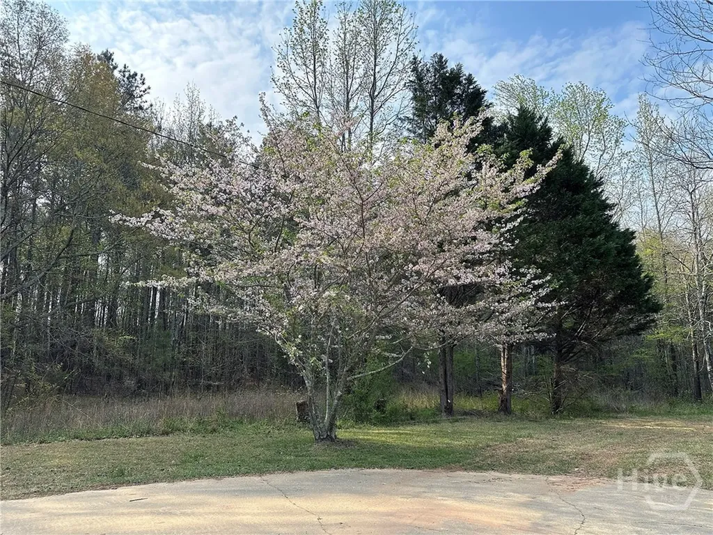 1104 Farm Road Colbert GA 30628