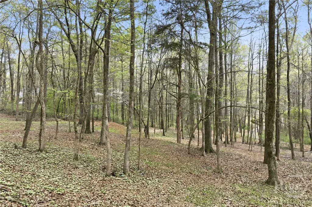 1111 Thornwell Drive Athens GA 30606