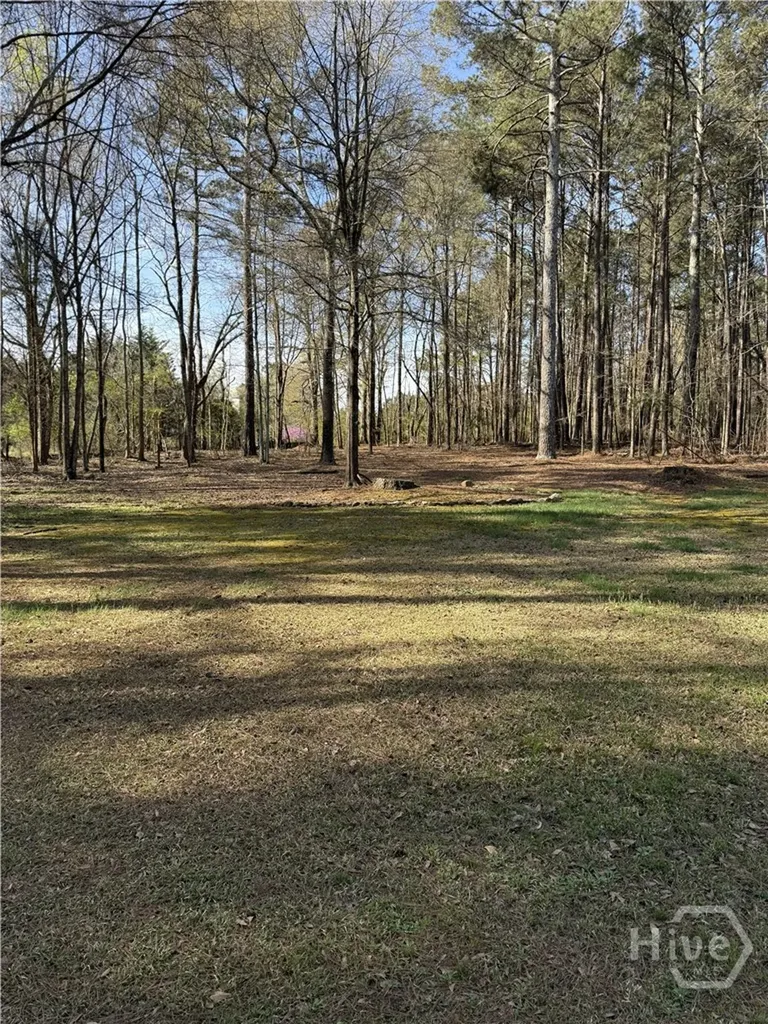 1030 Oconee Crossing Circle Bogart GA 30622