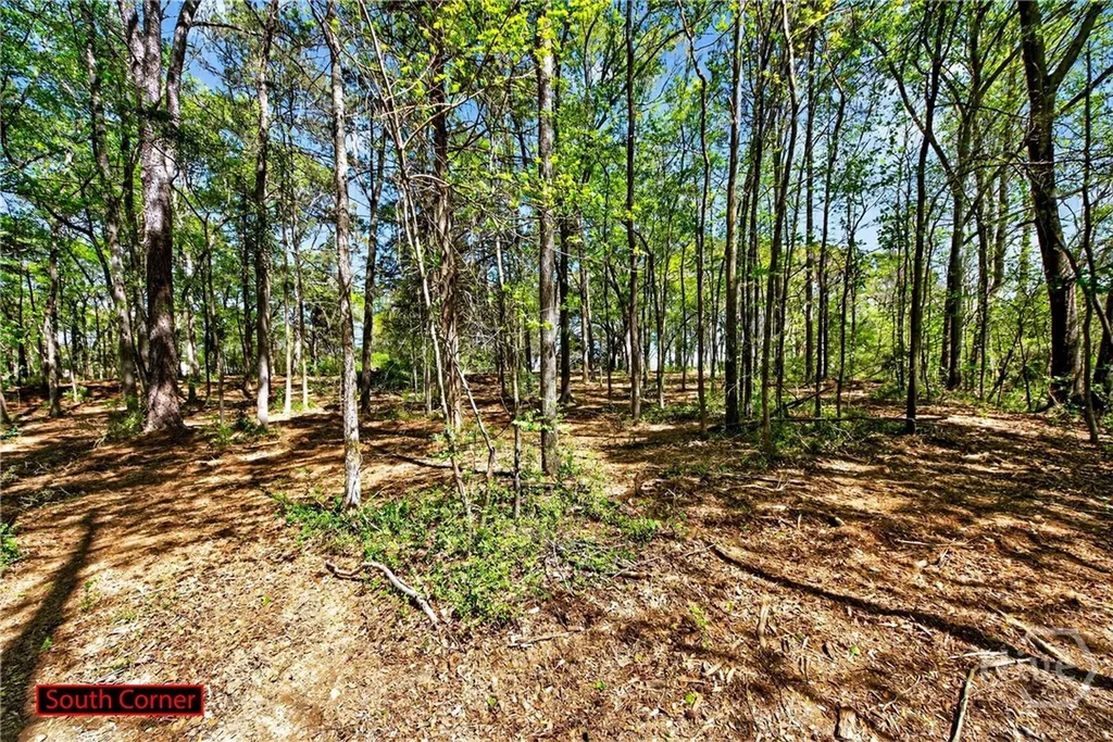 2330 Greensboro Highway Watkinsville GA 30677