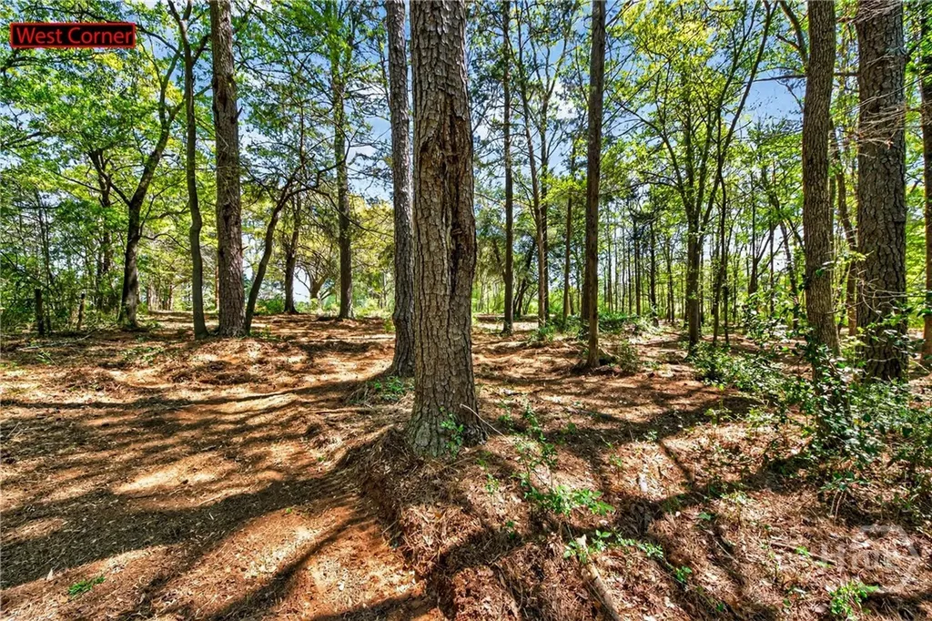 2330 Greensboro Highway Watkinsville GA 30677