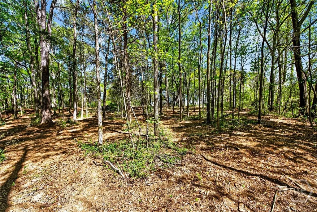 2330 Greensboro Highway Watkinsville GA 30677
